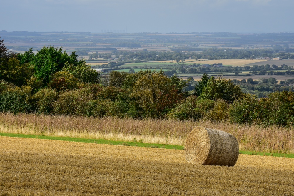 View from Wolds
